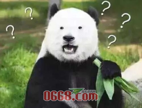 mNF9SUWAkkdq6fAA.jpg
