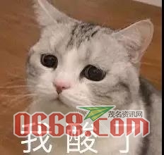 微信图片_20200321085224.jpg