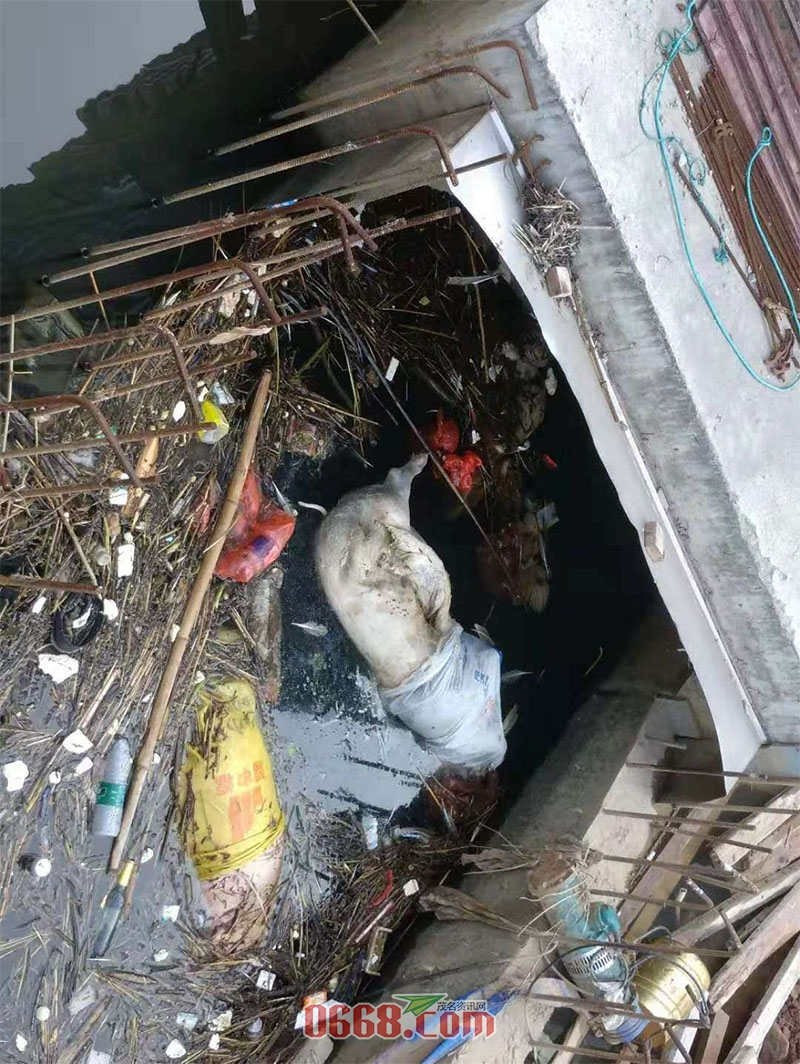 微信图片_20200328134416.jpg