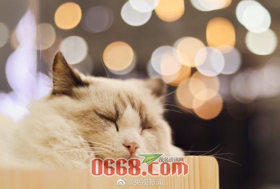 d879be54j00q8d4ra0046c0018d00u0c.jpg
