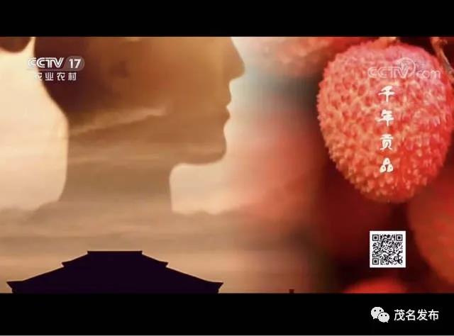 微信图片_20200415094320.jpg