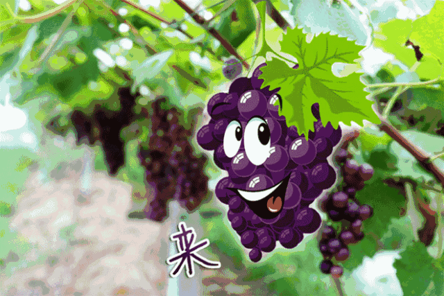 6.gif