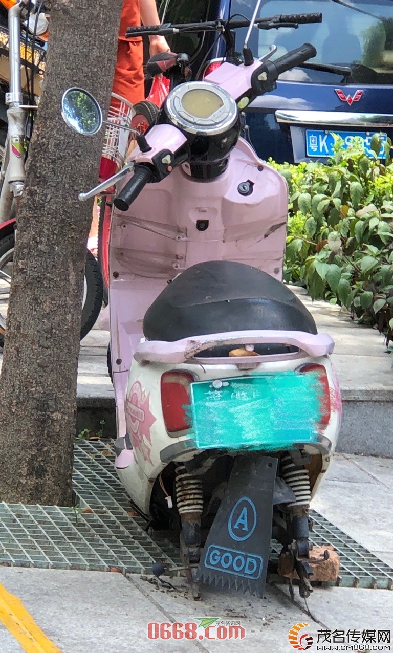 51.jpg