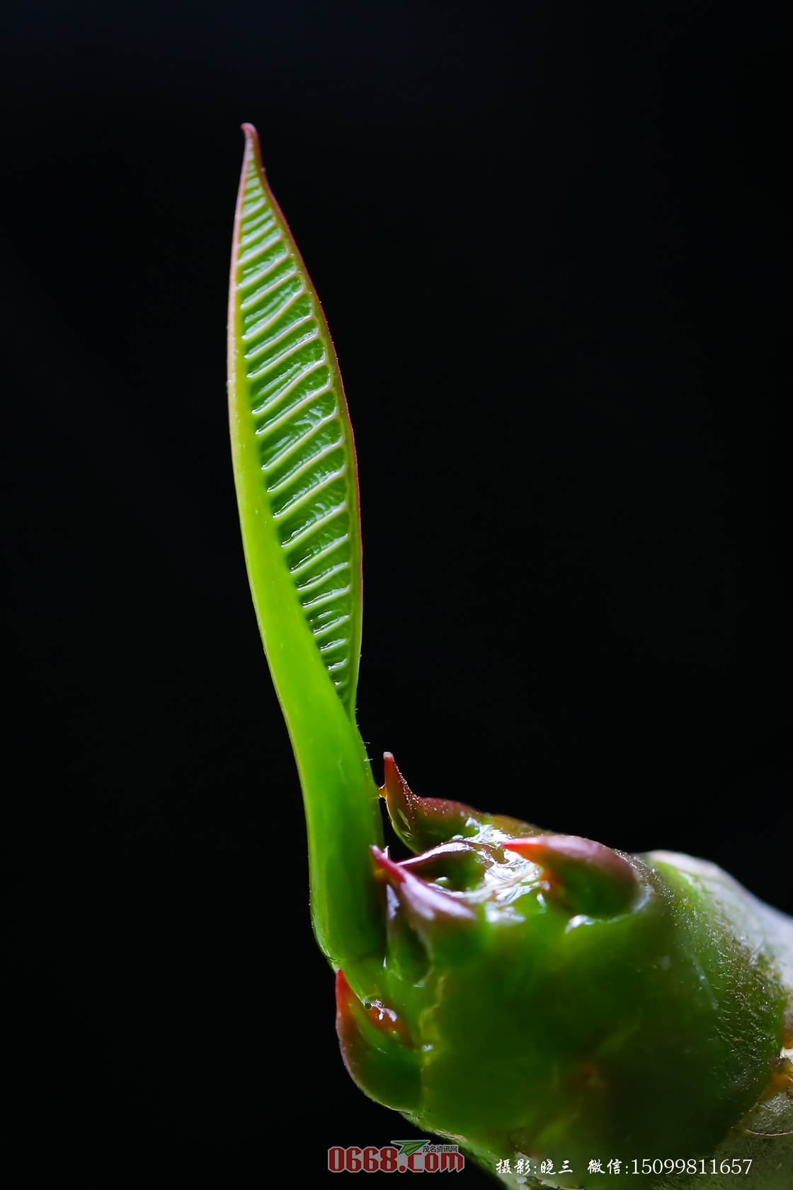 XXS_8318-144.jpg