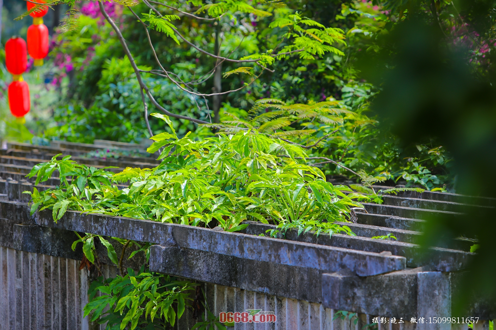 XXS_0266.jpg