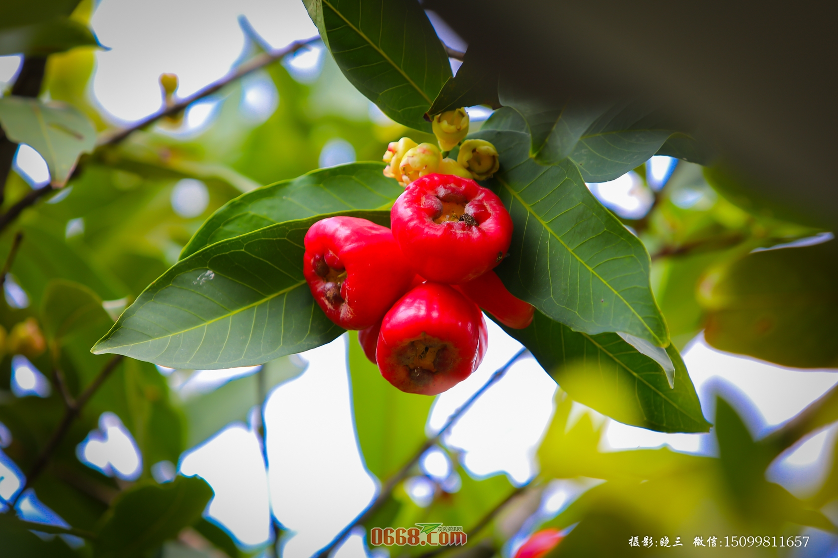 XXS_0256.jpg