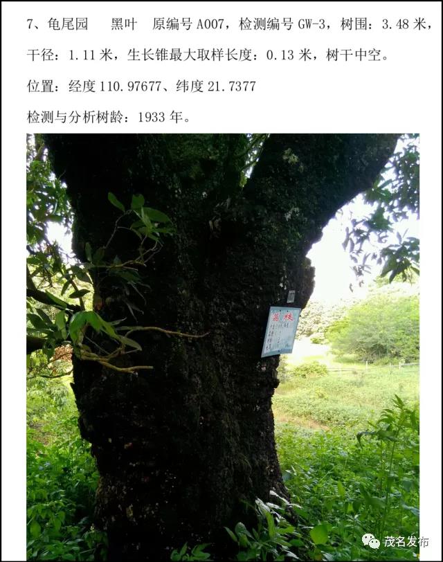 微信图片_20200624093623.jpg